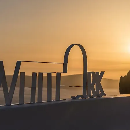 White Ark-3